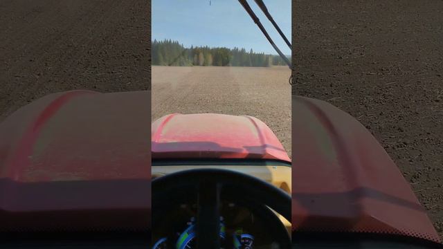 Сей овес в грязь будешь князь!!! смотреть онлайн