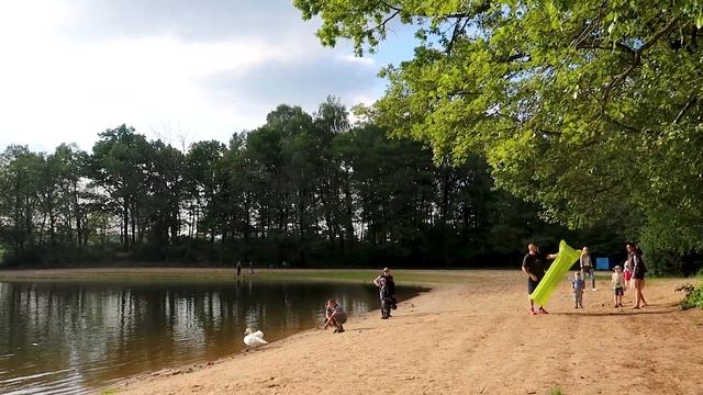 Озеро Белое (Санаторий Озёрный), Беларусь / Lake nearby Sanatoriy Ozerniy, Belarus смотреть онлайн