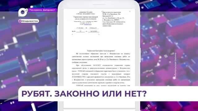 Во Владивостоке на Садгороде рубят лес без разрешения администрации смотреть онлайн