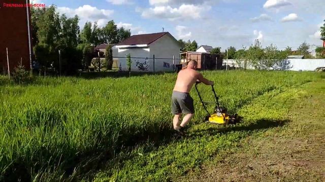 Газонокосилка Champion ml5127bs Как стрижёт высокую траву? смотреть онлайн