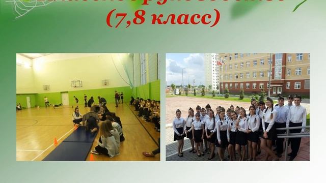 визитка учителя математики Залогиной А. В. смотреть онлайн