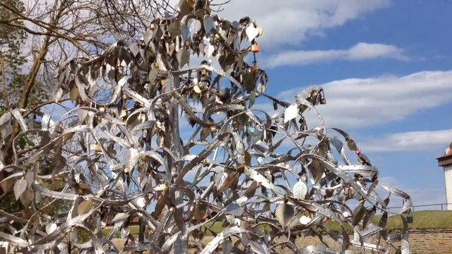 Нарвский замок Германа под железным деревом смотреть онлайн