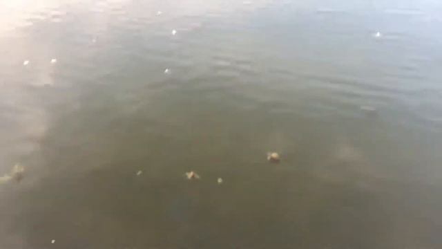 Парк на ходынском поле смотреть онлайн