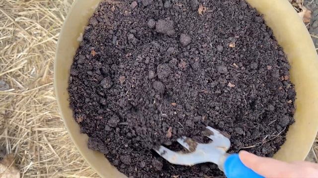 1 мая на даче . Теплица . Сажаю цветы . Поздравляю с праздником! смотреть онлайн