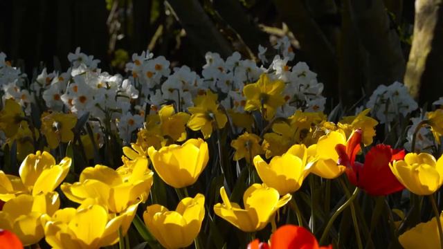 Аффирмации на усиление энергии смотреть онлайн