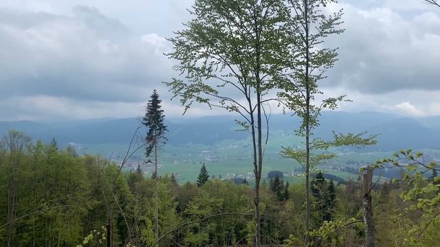TREKKING AL FORTE INTERROTTO ( Asiago-Veneto ) ,LUSIANA #trekking#italy#travel#ragazzinviaggio смотреть онлайн