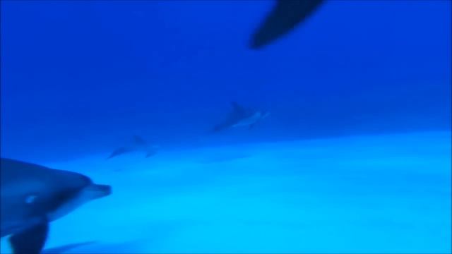 Mike Foyle Vs Singnalrunners- Love theme dusk смотреть онлайн