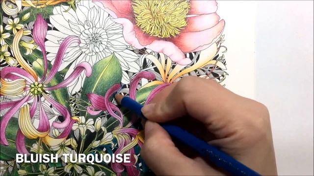 Floribunda Coloring #5 | Part 2 - re-upload смотреть онлайн