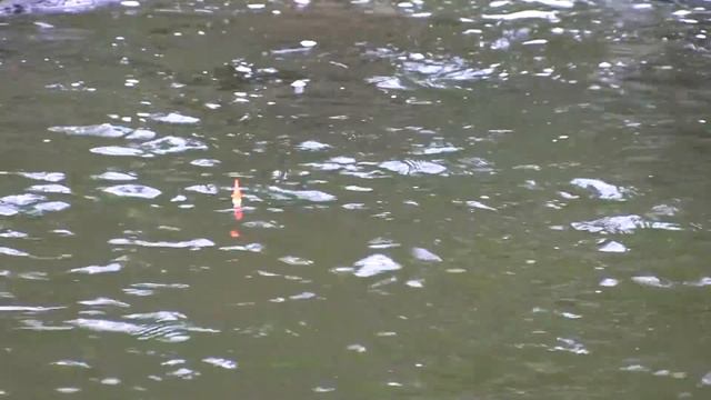 How To Fish Salmon Eggs in Creeks смотреть онлайн