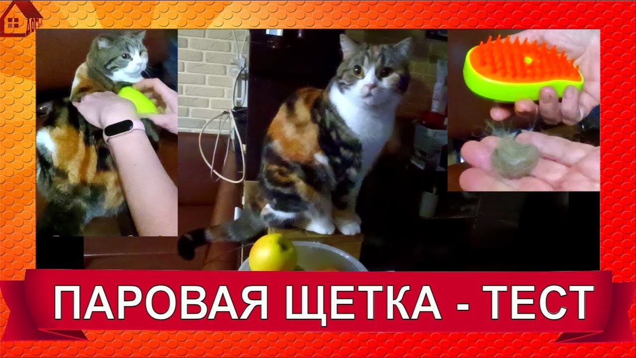 Избавляемся от шерсти! Паровая щетка для животных / Распаковка и тест/Cat Steamy Brush Review смотреть онлайн