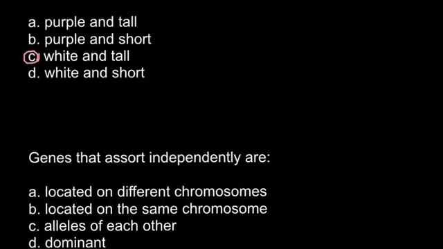 Independent Assortment Question