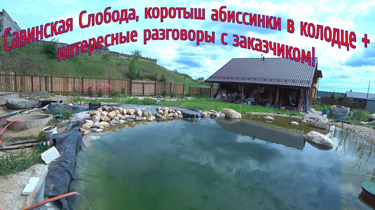 Савинская слобода, коротыш абиссинки в колодце + интересные разговоры с заказчиком смотреть онлайн