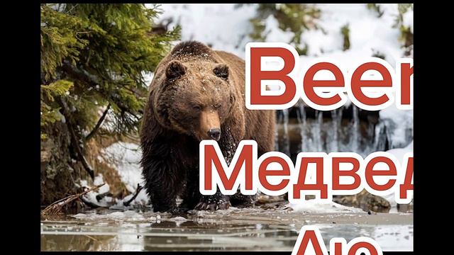 Жануарлар ағылшынша,животные на английском,animals смотреть онлайн