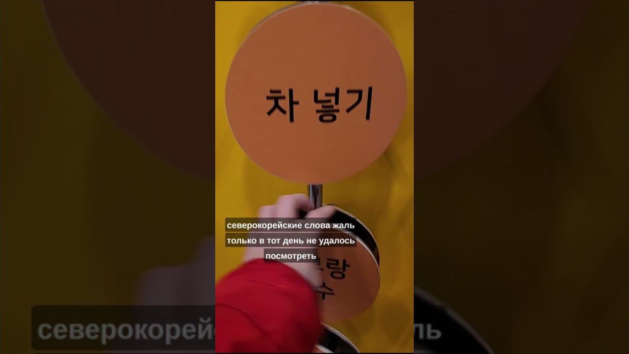 Мирный центр Северной и Южной Кореи / Музей Северной Кореи в Южной Корее смотреть онлайн