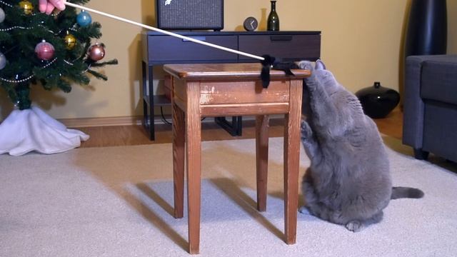 НЕОБЫЧНАЯ КОГТЕТОЧКА для КОТА / Cat and stool смотреть онлайн