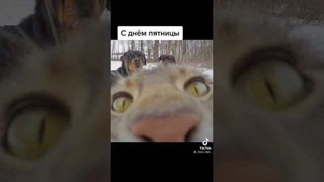 всех с праздником 23 февраля пацаны смотреть онлайн