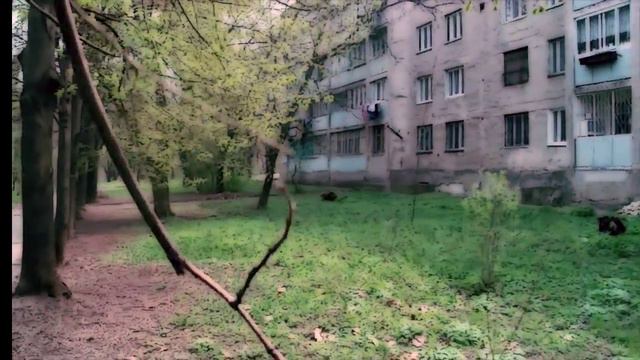 G.O. - Юго Восточная Ботаника (3drap 2013) смотреть онлайн