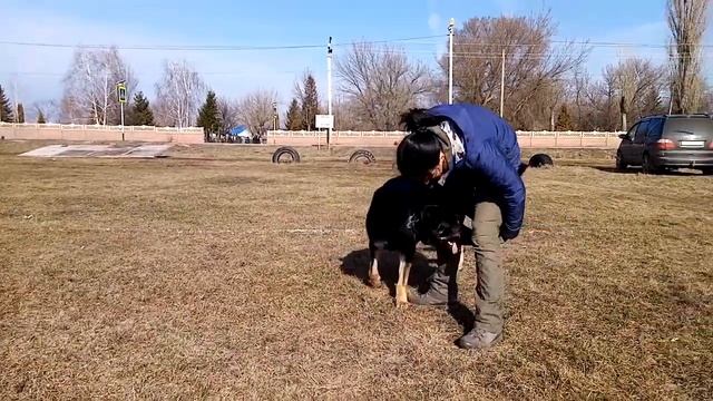 Разминка собаки. Я делаю ее каждый день в начале прогулки смотреть онлайн