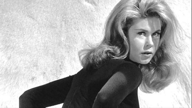 Elizabeth Montgomery (Acoustic Demo) by Wild Monkey смотреть онлайн