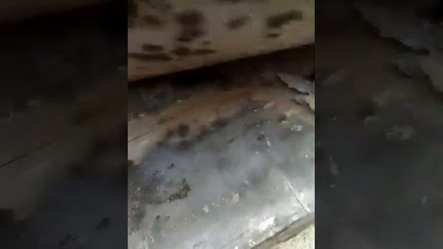 Китай фанера.