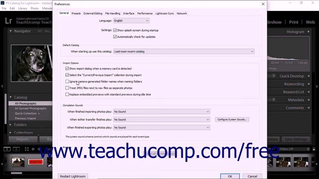 Lightroom Classic CC Tutorial Setting Import Preferences Adobe Training смотреть онлайн