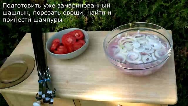 Сочный шашлык с помидорами / простой рецепт