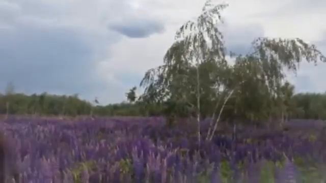 Поездка в Винницу