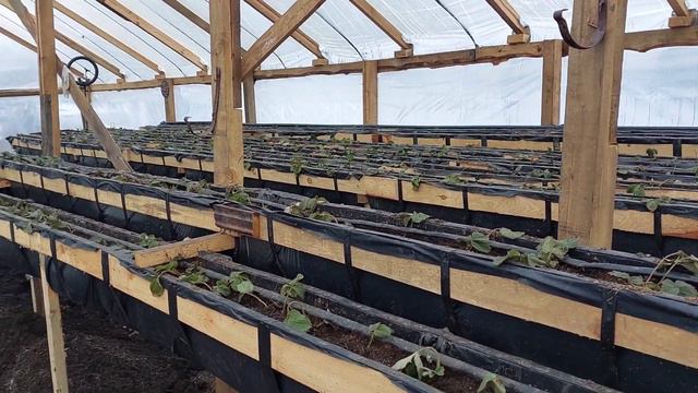 Вот и Разобрали рухнувший стеллаж... смотреть онлайн