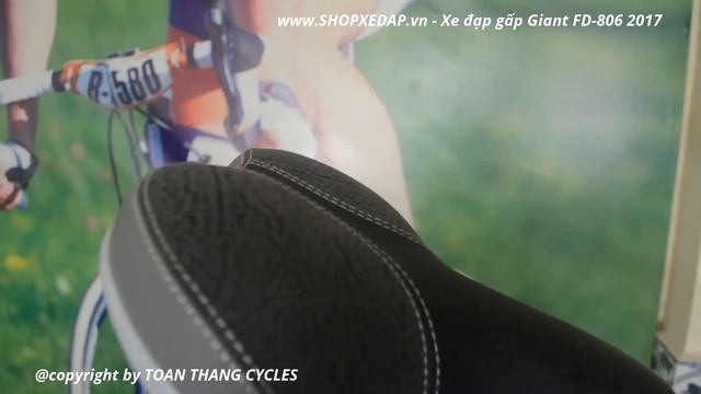 [TOAN THANG CYCLES] Review Xe đạp Gấp Giant FD-806 2017