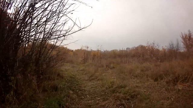 088. 2022. Осенние сырзаводские джунгли // Маслянино. Почему лето всегда такое короткое? смотреть онлайн