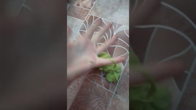 Как сделать так что бы ПЛАСТИЛИН кликал!? смотреть онлайн