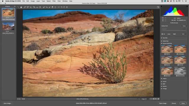 The Power of Profiles in Adobe Camera Raw | Adobe Photoshop смотреть онлайн