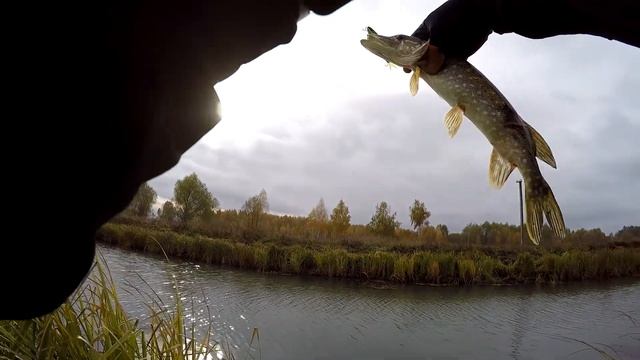 Ловля щуки на малой реке.Ловля щук на воблеры. смотреть онлайн