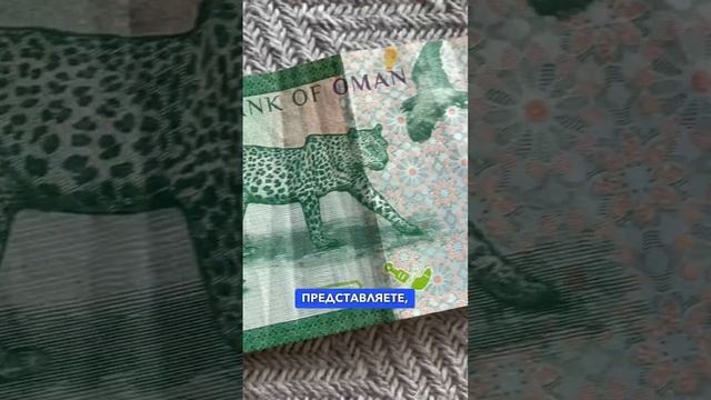 В этой стране ? САМАЯ НЕОБЫЧНАЯ купюра в мире ? 1/2 риала ?? это как? #путешествия смотреть онлайн