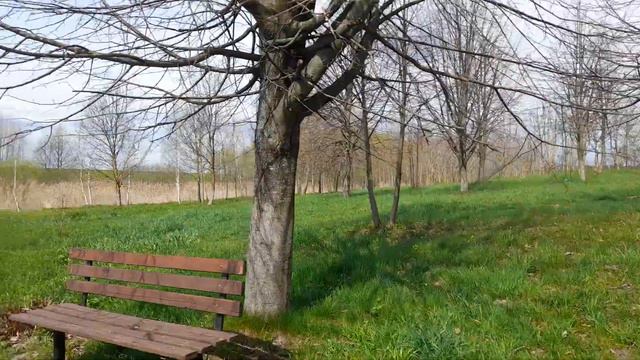 Святая Крыничка в Буда-Кошелевском районе смотреть онлайн