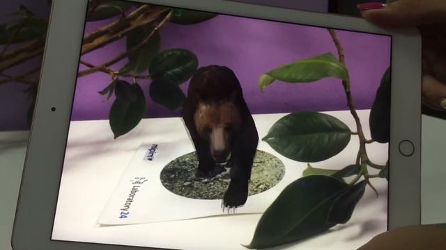 Животные в дополненной реальности или среда обитания на рабочем столе смотреть онлайн