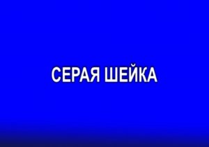 «Серая шейка»