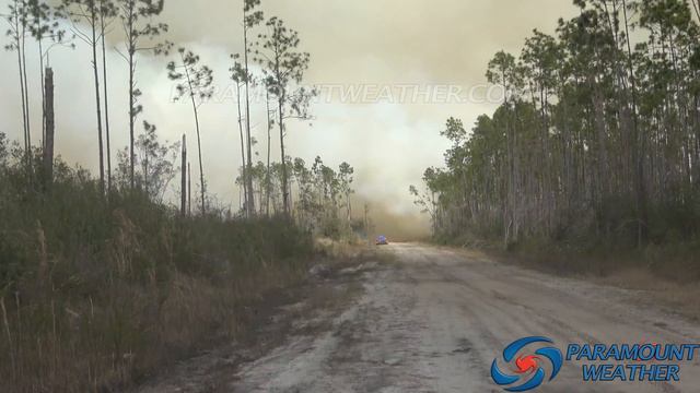 Florida wildfire overtaking fallen timber and debris caused from Hurricane Michael in 2018-3/5/2022 смотреть онлайн