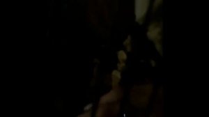 Белка-летяга издаёт звуки радости