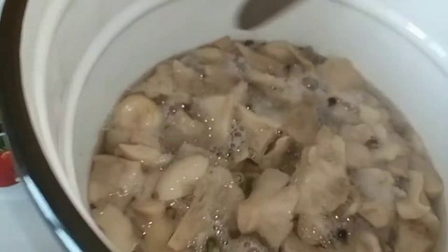 Вкусные рецепты с грибами