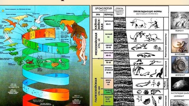 история земной коры смотреть онлайн