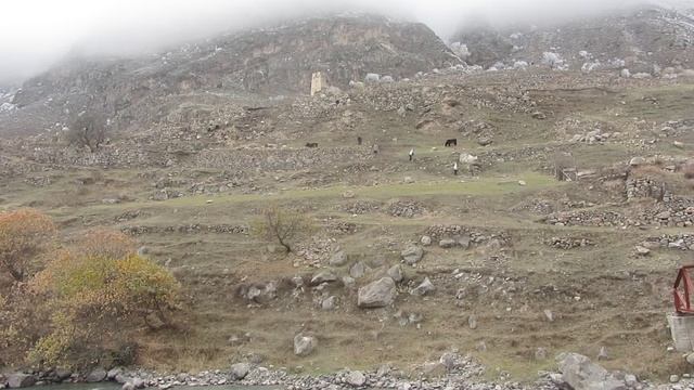 MVI_8144 смотреть онлайн