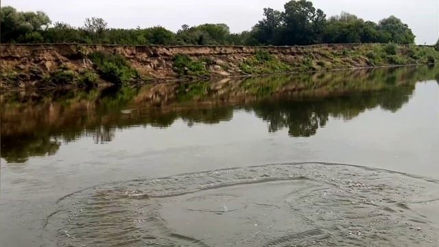 Рыбалка кастинговой сетью. После дождя. Алтайский край река Чумыш. смотреть онлайн