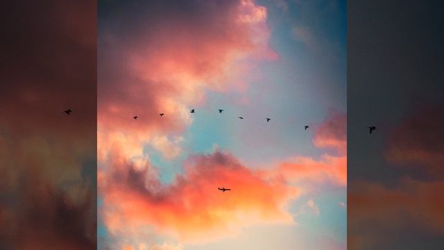 Успокаивающий спокойный белый шум смотреть онлайн