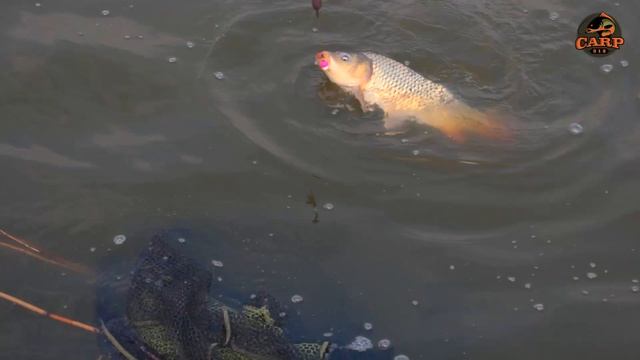 MARCH CARP SESSION / PVA STICK FISHING TRAILER 2020 смотреть онлайн