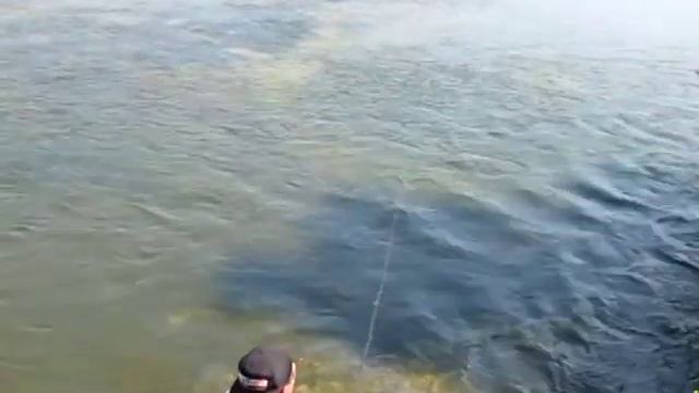 Мастер класс Эдуарда Климова на турнире Большой голавль 2011 смотреть онлайн