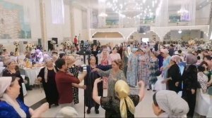 Новосибирск Туй