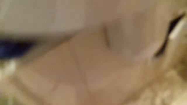 Моем колесо для хомячка смотреть онлайн