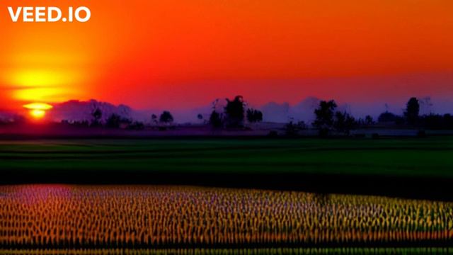 Sun Rising Over The Fields смотреть онлайн