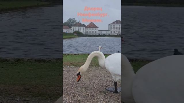 дворец нимфенбург. Мюнхен смотреть онлайн